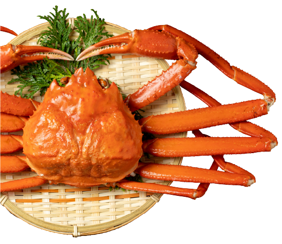 日本海産ベニズワイガニ