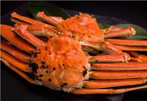 松葉蟹(オス)イメージ写真